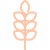 Pi7_wheat (1) Pi7_wheat (1)